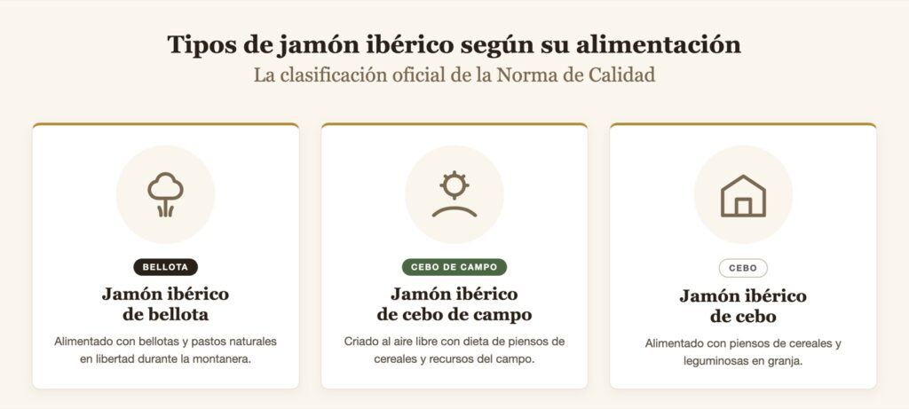 Infografía sobre tipos de jamón ibérico según su alimentación